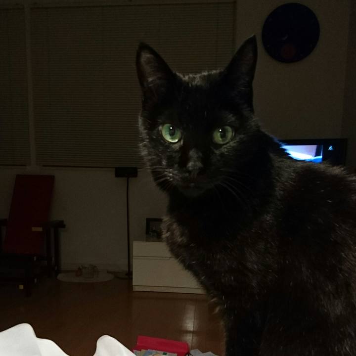 7a19f7f5 31b0 447f 86c1 1b1fc689a8d5 1510742870629