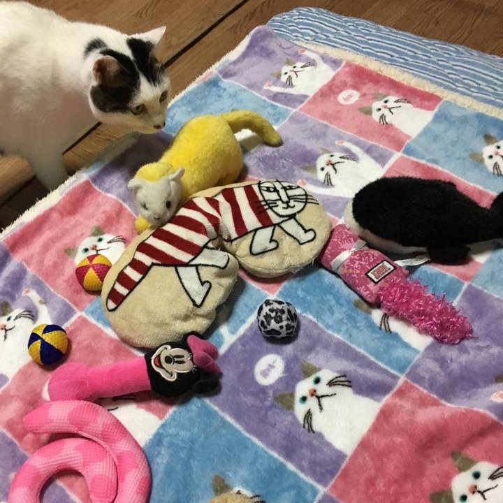 7a1a08e1 8c35 4980 ac7d a62e05338ce8 1521377975337