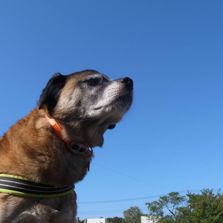 7a1a1e35 c152 4073 aea7 255473e4e2b9 1591957672777