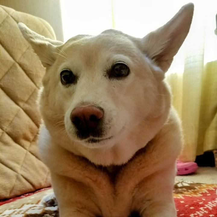 7a1a2fce 8ad2 4d29 a68d 49416a197ab8 1704904568144