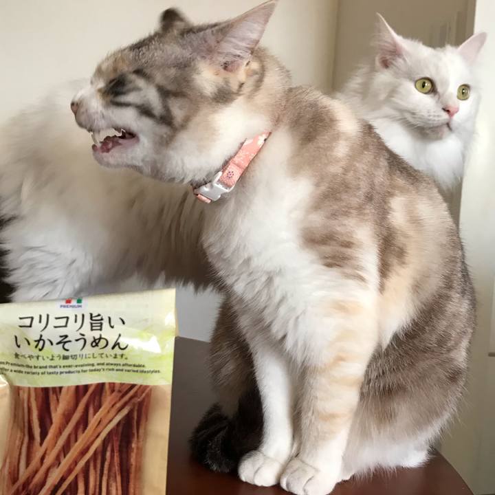 7a1a37df 9700 4710 acb9 905680d2c5f4 1554378883141