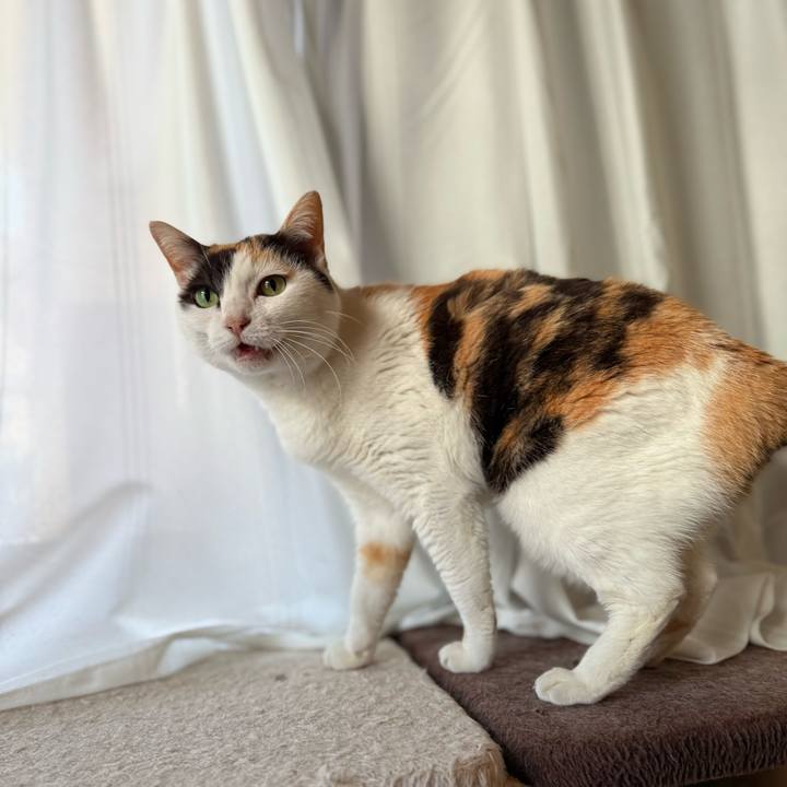 7a1a49e5 f168 4590 82c2 16b33f22c9a3 1747188271188