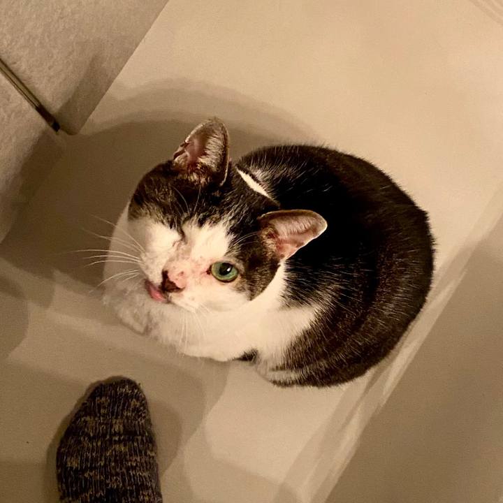 7a1a4b86 ec6b 4efe 9511 636158b1948b 1583939359663