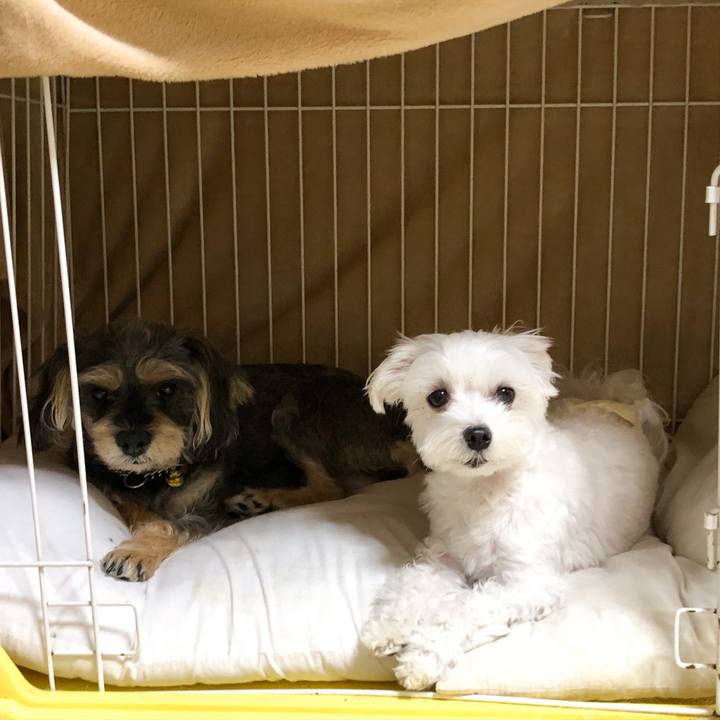 7a1a503a 4c70 4a76 92eb b1031f4f11e7 1570537915971