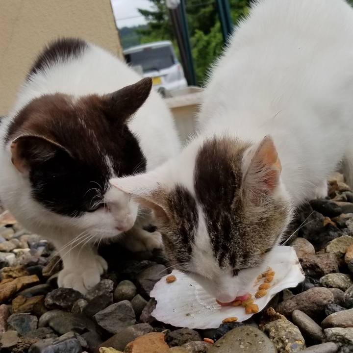 7a1a6202 93d6 4abf 98f8 d5655ab4b6bd 1560816024045