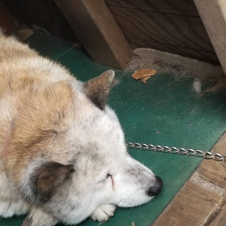 7a1a9de5 56fe 4c30 b432 69b092a6a9d7 1672536128151