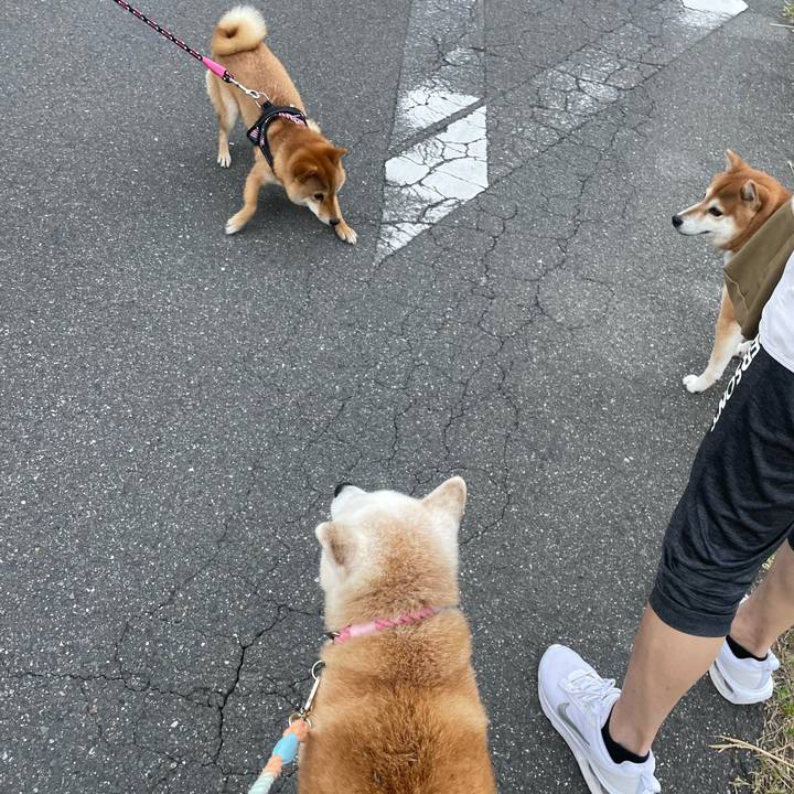 7a1ac2d2 2989 4bcc a097 d0f8ad512591 1695856420206