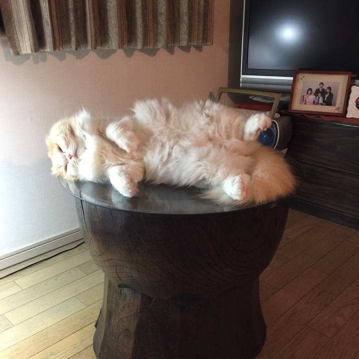 7a1ad8f3 a464 439b 8053 4552736da8ea 1525690051841