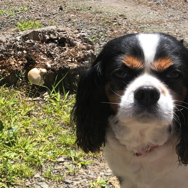 7a1af42c b821 4e6a 8b17 ddcd416044b7 1562737067475