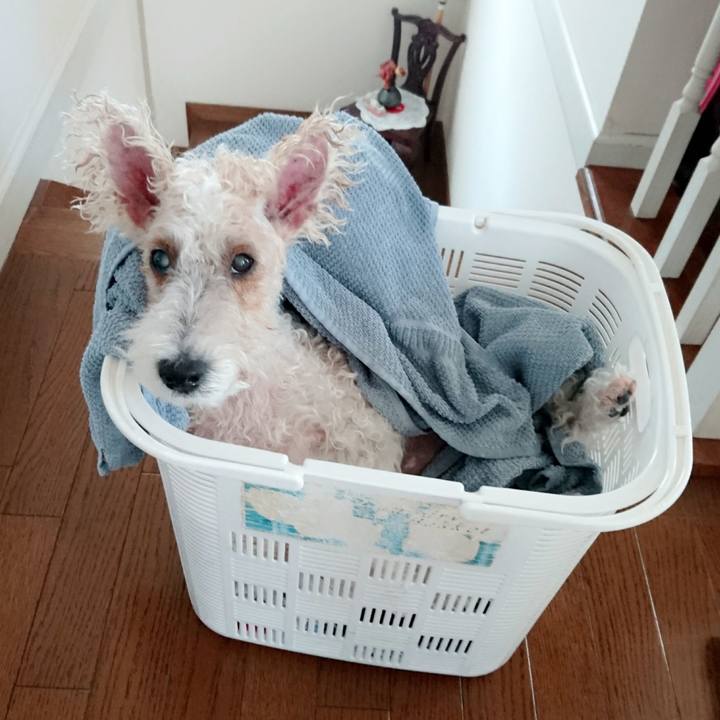 7a1b03bc 7c2b 47da a442 3a66c1685436 1536377226535