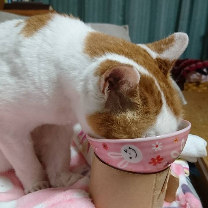 7a1b1be2 fa92 41b1 ab16 839b045fa998 1547725687649