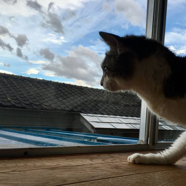 7a1b561c 0c59 439f b969 835702843ac4 1727732909233