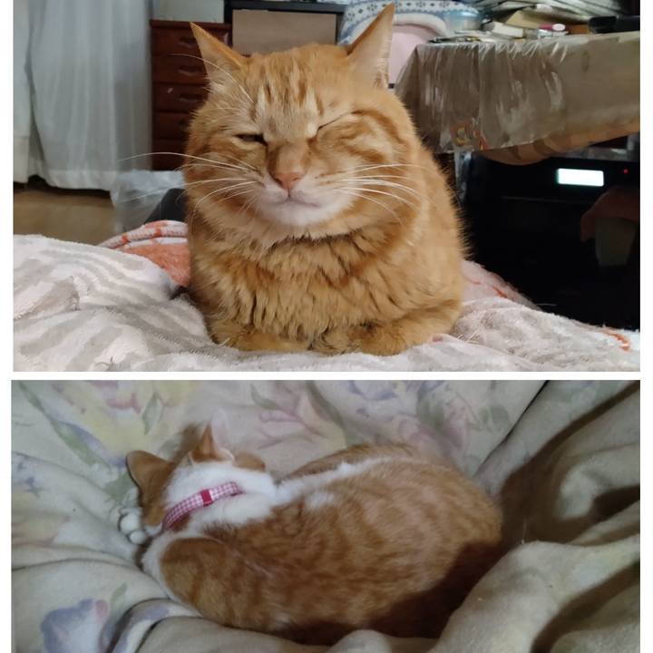 7a1b6962 ae24 432a b978 607f485fd6a4 1742023776010