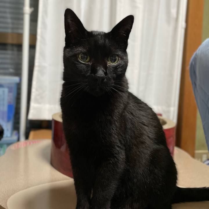 7a1b7e26 aefa 4ea6 a4a6 246fdd4d65a1 1656984500414