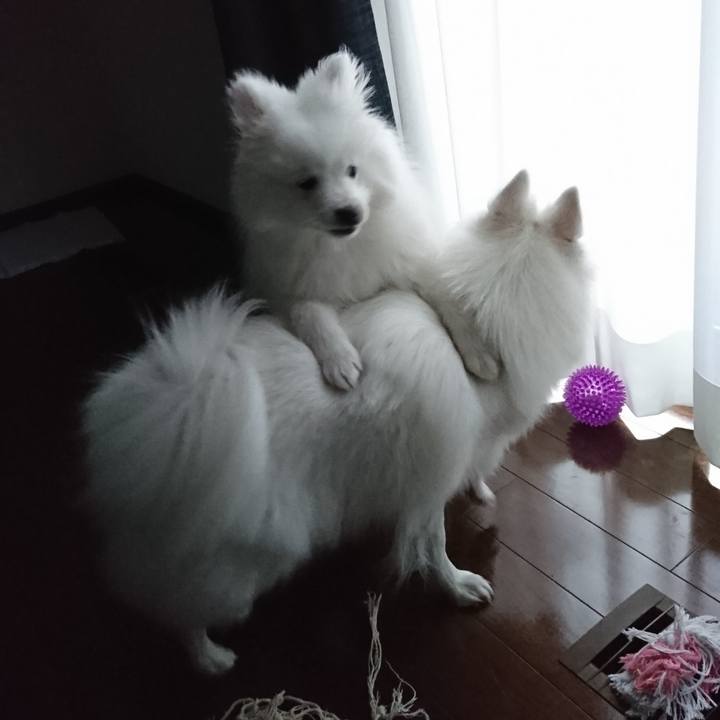 7a1bcd3a 0288 4272 a2ec 22954324e218 1548199385217