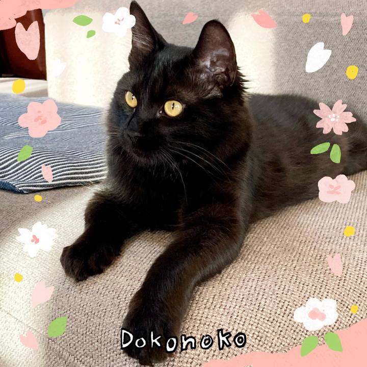 7a1be187 19ab 45d3 8bfc a2cc920e0148 1711008102533