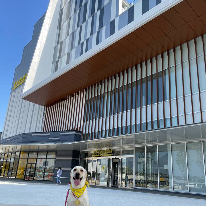 7a1bfb4d d718 4467 a047 fb287c718fdf 1651049774124