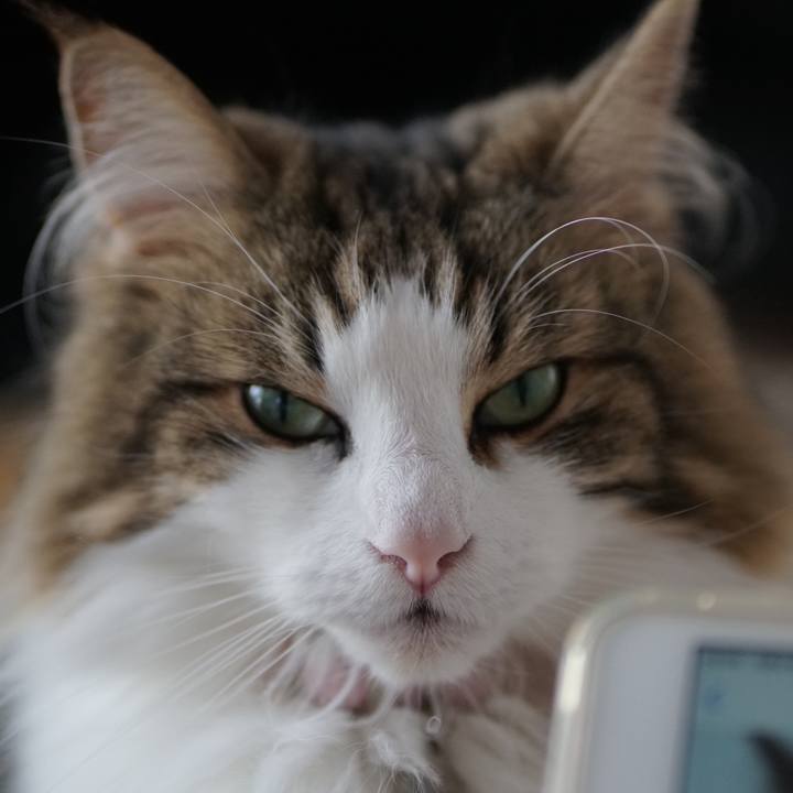 7a1c0895 d309 4c45 98e1 d648ff42011e 1561290257012