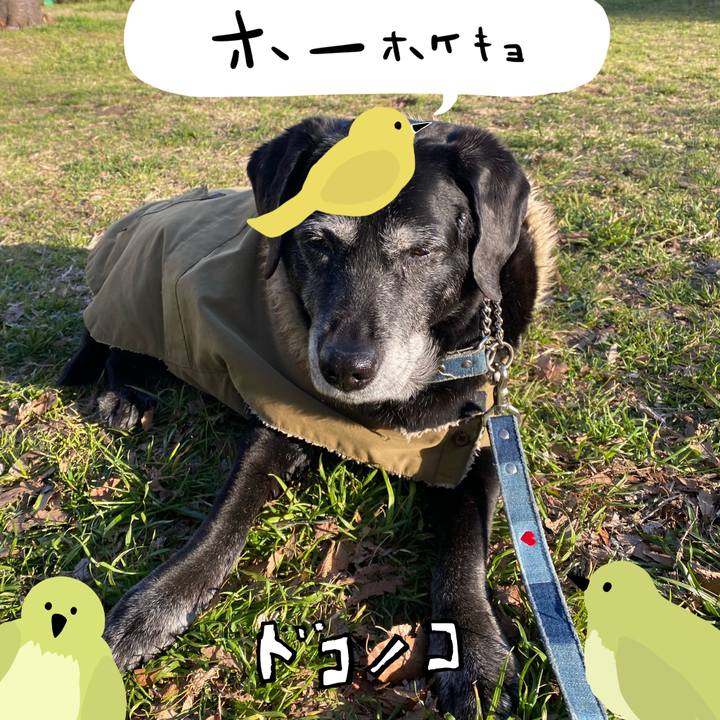 7a1c0c55 be8b 4d3d b40b 33054868d3cf 1710988890701