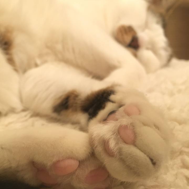 7a1c0de1 b76b 4eb4 8e96 4f7c8f453fe6 1609423802867