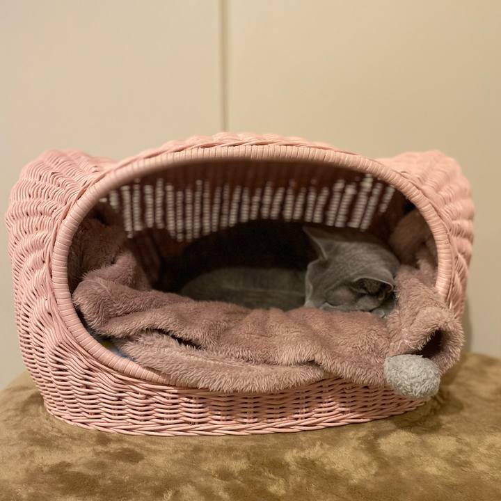 7a1c4533 ef65 4c3e 81cb 340585fef52e 1671685885789