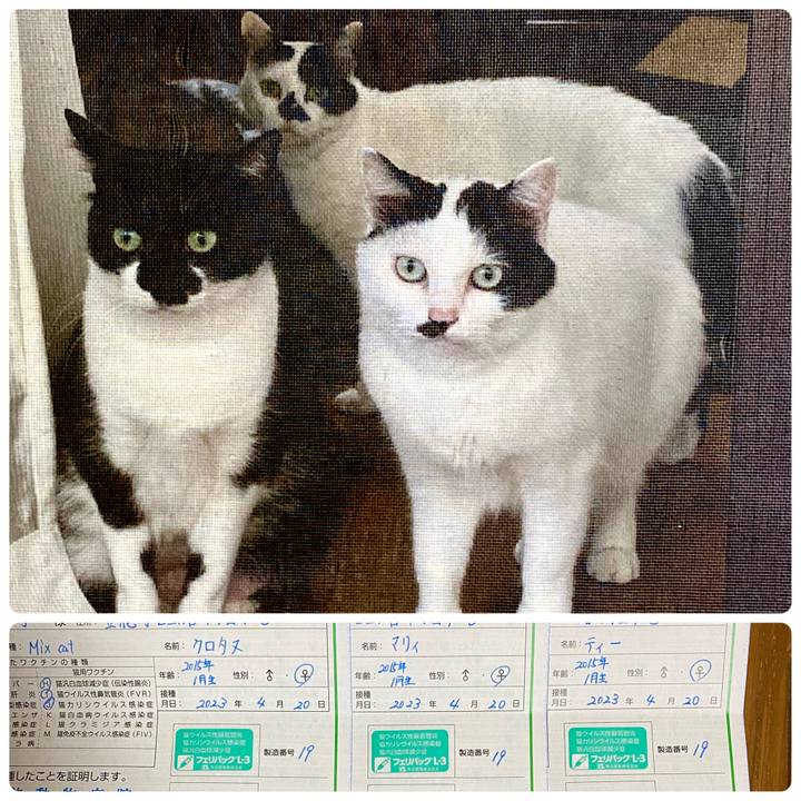 7a1c5741 6669 4997 97b3 a48f553580ad 1681993566234