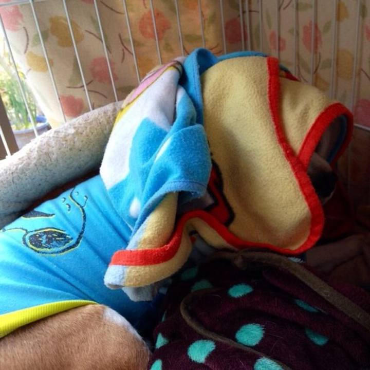 7a1c690d 931d 4f62 ac12 daa0863c928f 1737584404713