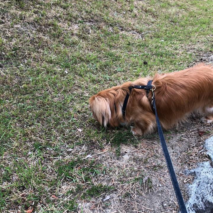 7a1c8b07 e961 4d82 9133 b23e94a44128 1527458215946