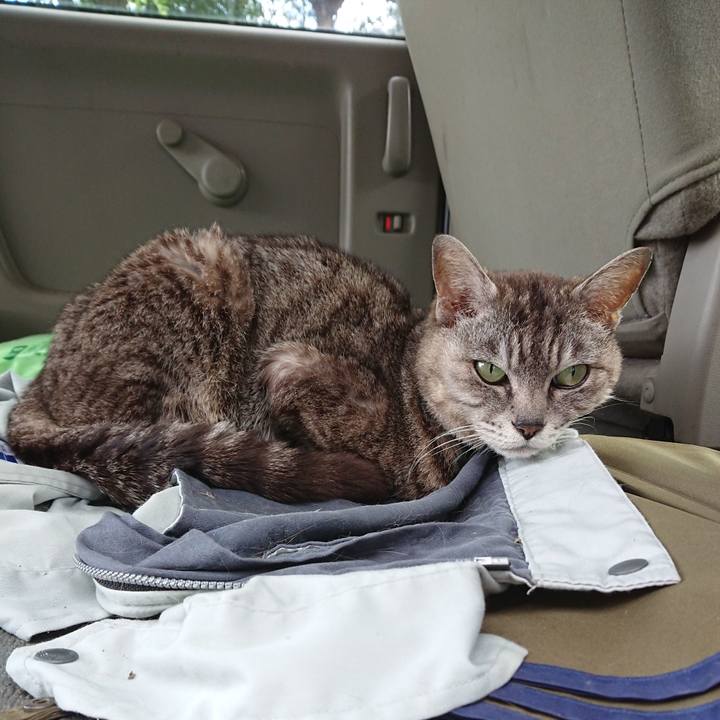 7a1c9d89 69e3 4e17 ae60 b66d3b04e8fa 1563178999837