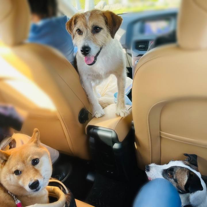 7a1ca03d 1137 4b25 bb21 8bc544bd0f25 1617885340646