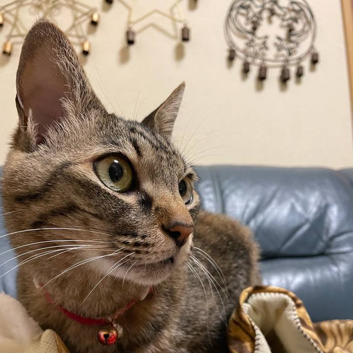 7a1ca81c 9f47 42a7 ad9c 61b16ea7a05f 1722491695543