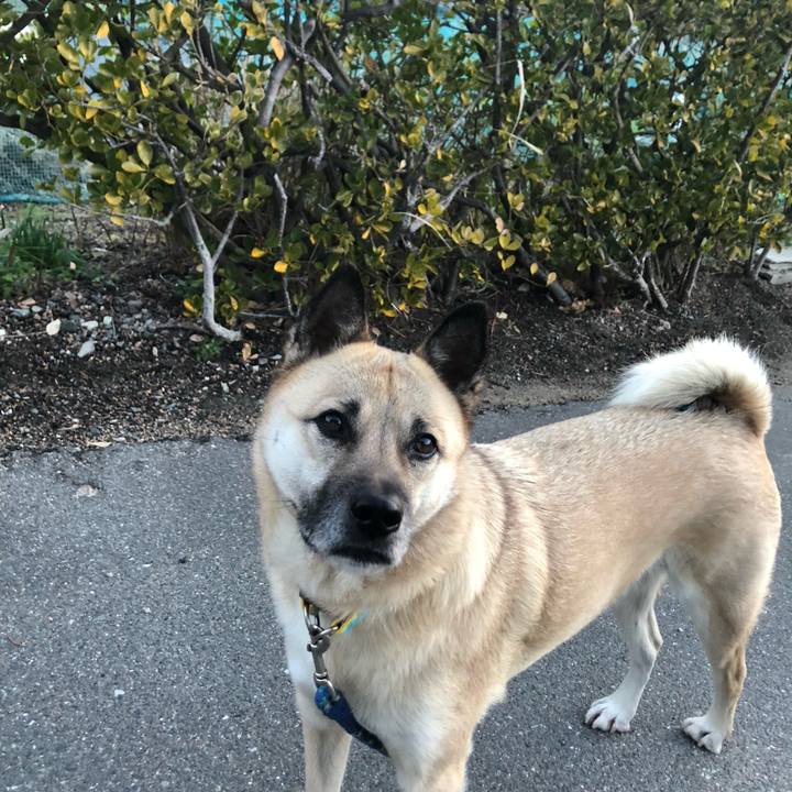 7a1cceb2 0ffa 42da a35a 5d949609a4e1 1609763205445