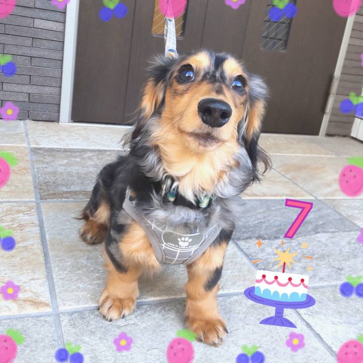 7a1cee41 670c 4035 ba2b f31f668f7ba2 1708039590564