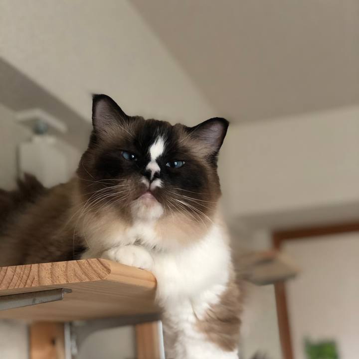 7a1cee6c aa6d 4ecb 8604 9c3b4e027ad5 1643461250011