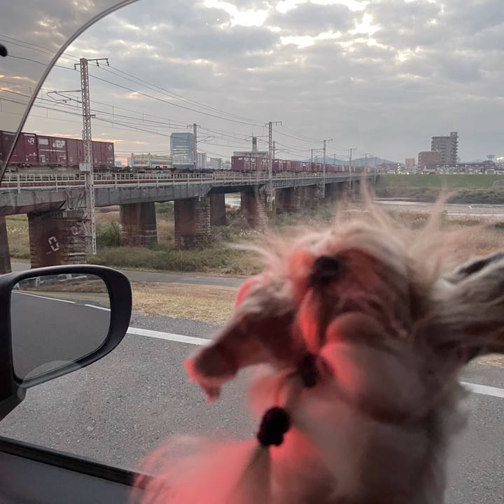 7a1cf684 9e82 4f8f 9cf0 9219e72463a2 1763547778590