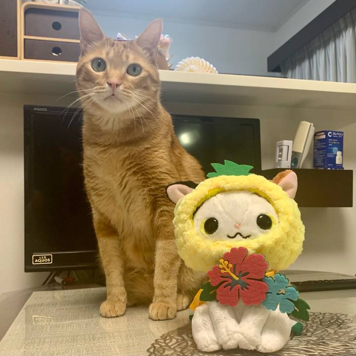 7a1d278c 5401 48af bddf aeddd8e951fa 1623625312911