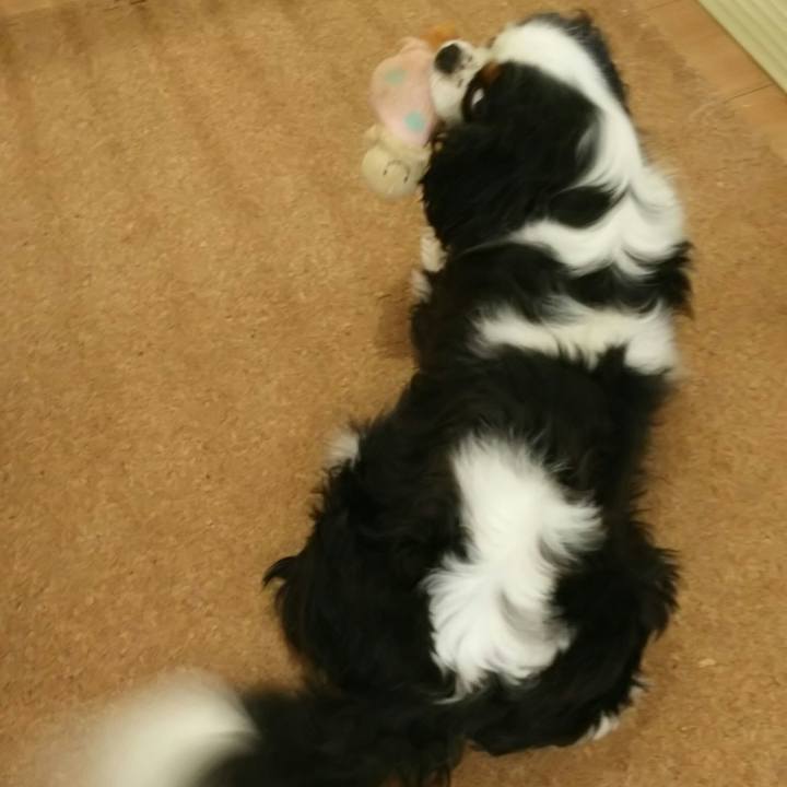 7a1d37cd 1f14 40ec a41a 384a8ebe4a05 1532326679957