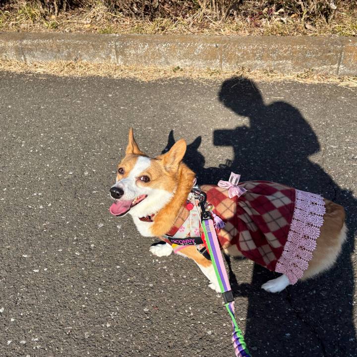 7a1d4827 8f20 481f b6cb 49e3bee92c56 1771133570318