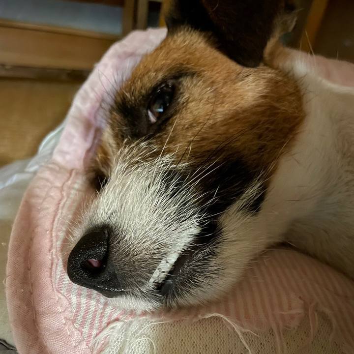 7a1d51e4 07c1 43d4 baec 90fb3581779a 1689423218628