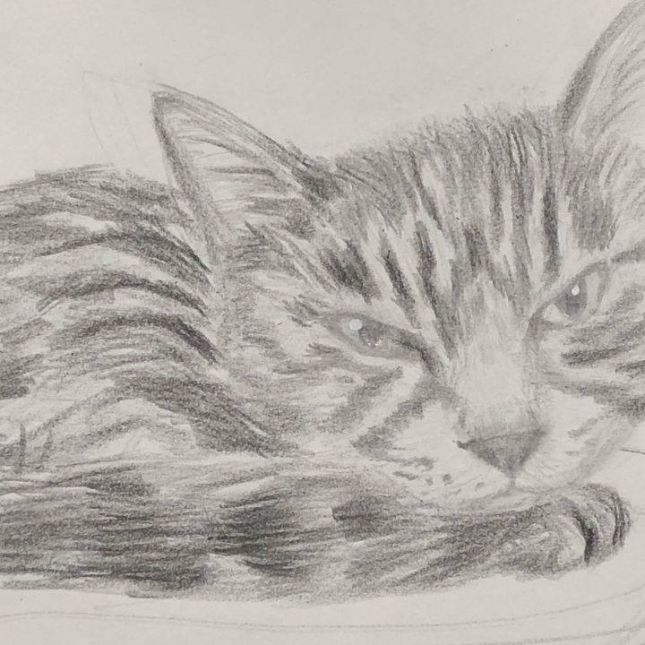 7a1d9ee7 e4bc 4778 8fdd ed9226c8c2ee 1630530522041