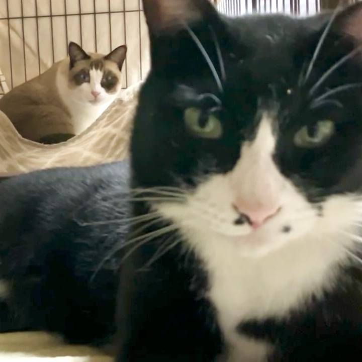 7a1db40a 7fe1 4270 9e83 ce1a697ab03f 1729761940523