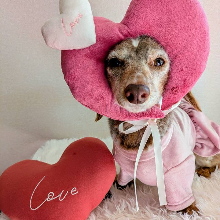 7a1e170c 4bdf 4da7 8a04 8f16b31dff8c 1771038414680