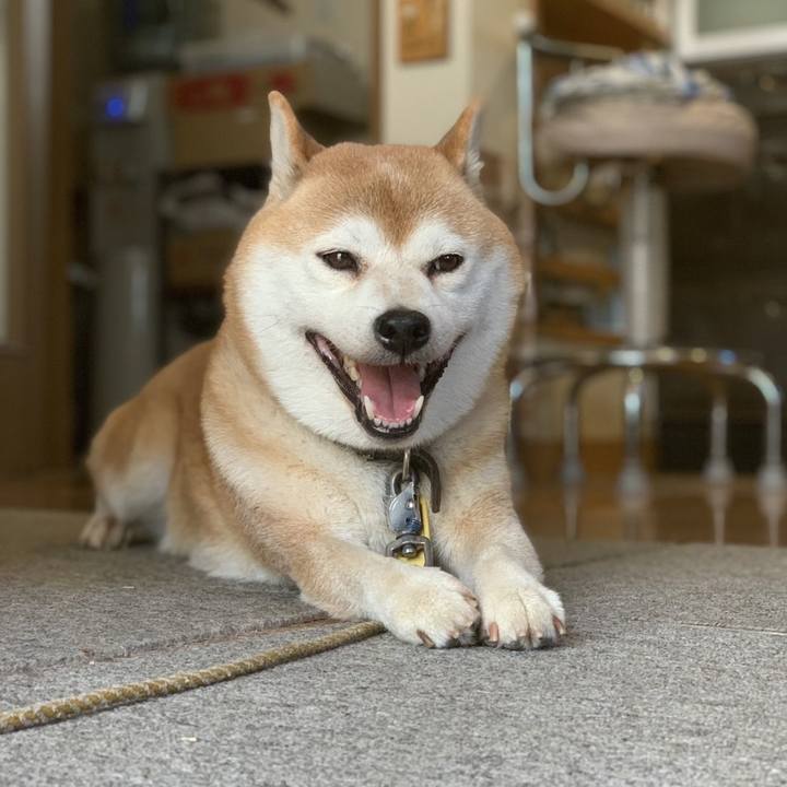 7a1e1a5b d61c 4d3d a18a edb51583fe1e 1632283184283