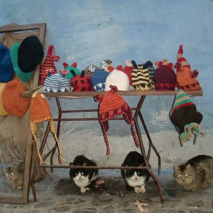 7a1e369f b036 429a 99e5 31ef040b3f6f 1549454318925