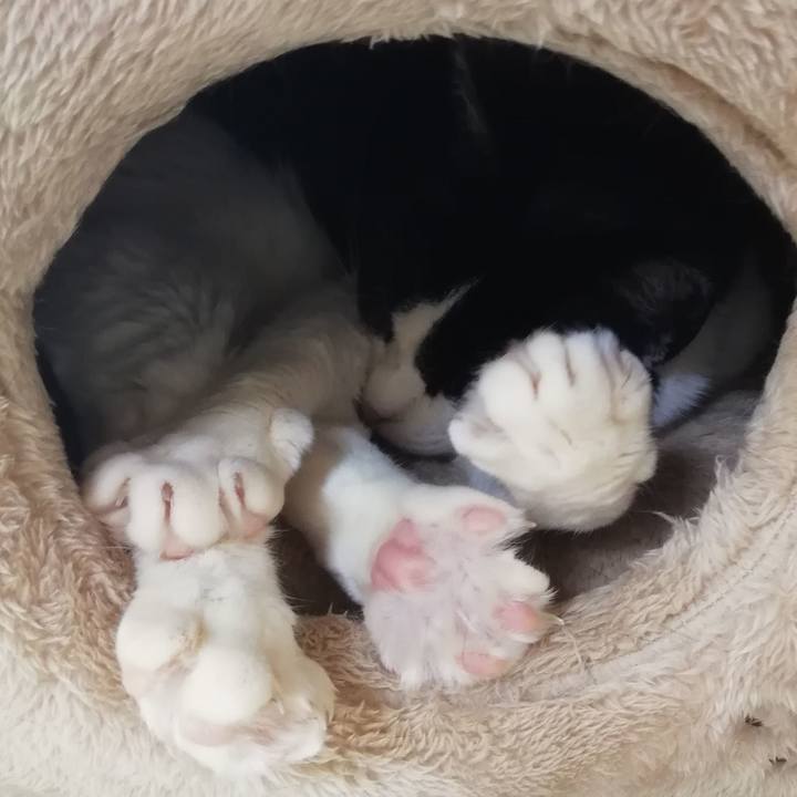 7a1e56c6 2683 46c4 b157 d2d9bf67097e 1553400703180