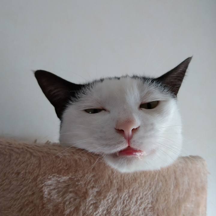 7a1e5c28 b0bb 4e08 8ee9 db27191d1c16 1600222991675