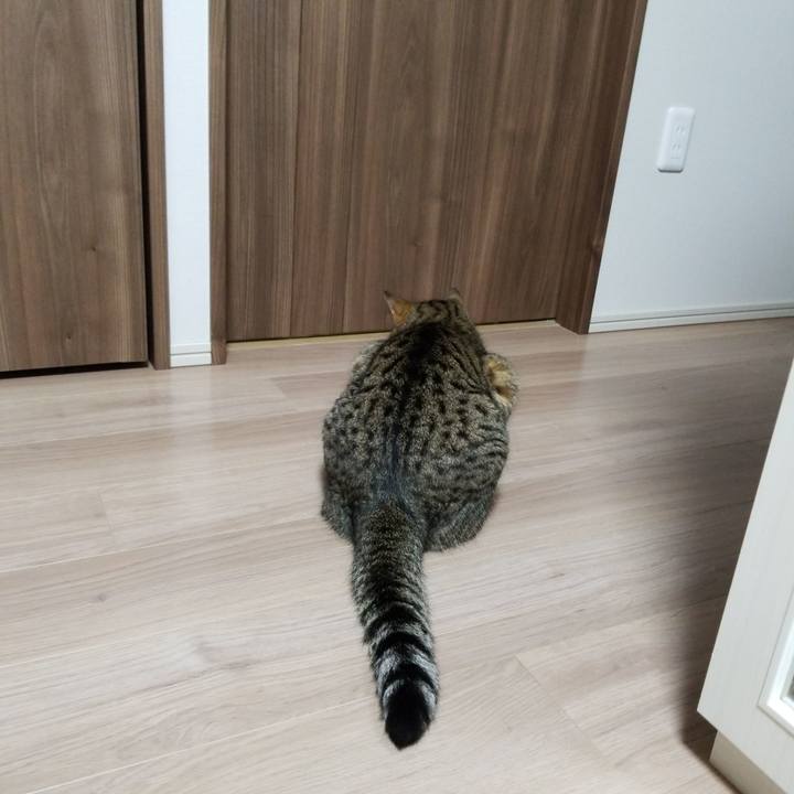 7a1e747c a39c 413a b53e 506102210ddf 1569236045884