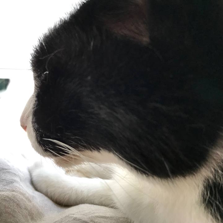 7a1e7633 62e3 4b52 87f6 dd100d8725ed 1569977432119