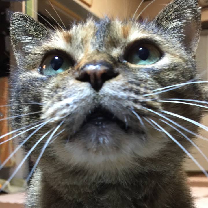 7a1eb5c4 1652 40a6 ba04 186529c3d18b 1578235017382