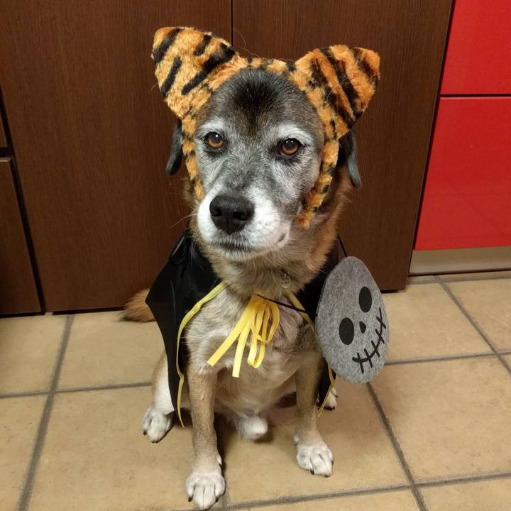 7a1ec8b1 3722 43ee 9625 7daba0410108 1729471614886